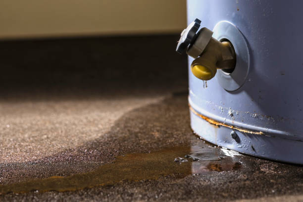 Best Flood damage cleanup  in New Philadelphia, OH
