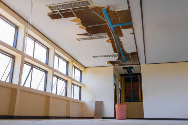 Best 24/7 water damage repair  in New Philadelphia, OH