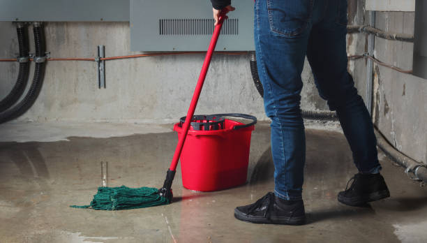 Best Carpet water damage restoration  in New Philadelphia, OH