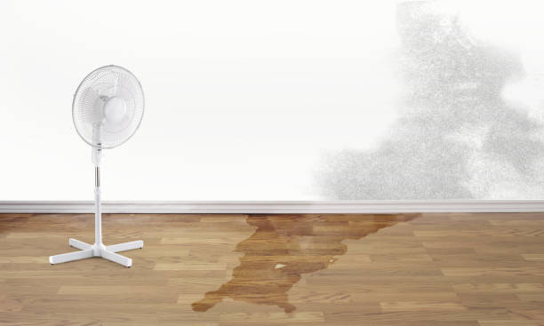 Best Flooded house restoration  in New Philadelphia, OH