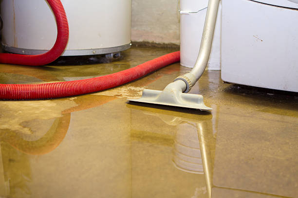 Best Water damage mitigation services  in New Philadelphia, OH